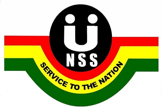 Restore voluntary NSS Ã¢â‚¬â€œ NPP group pleads